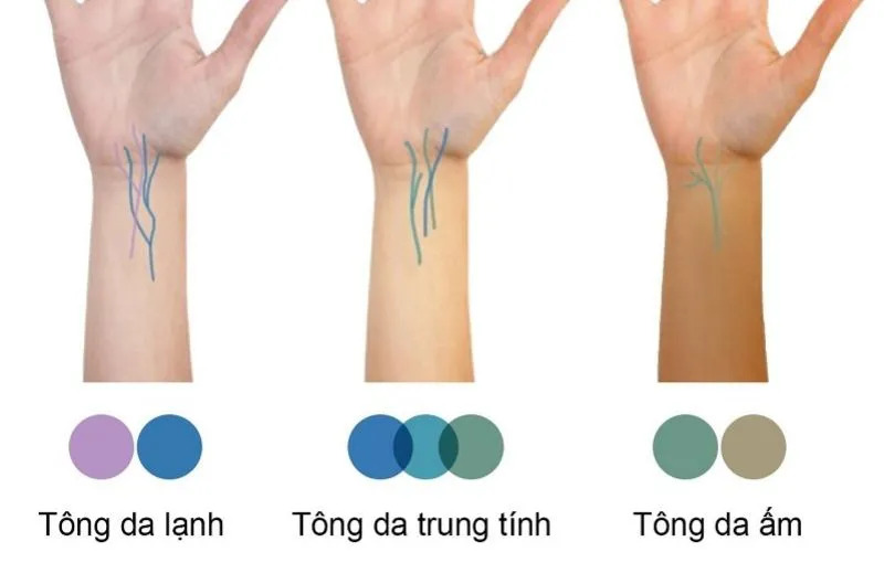 Nhận diện Personal Color tông da qua màu gân tay