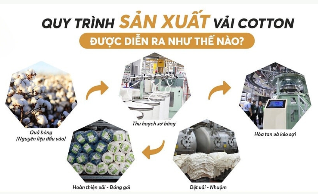 Quy Trình Sản Xuất Vải Cotton Như Thế Nào?