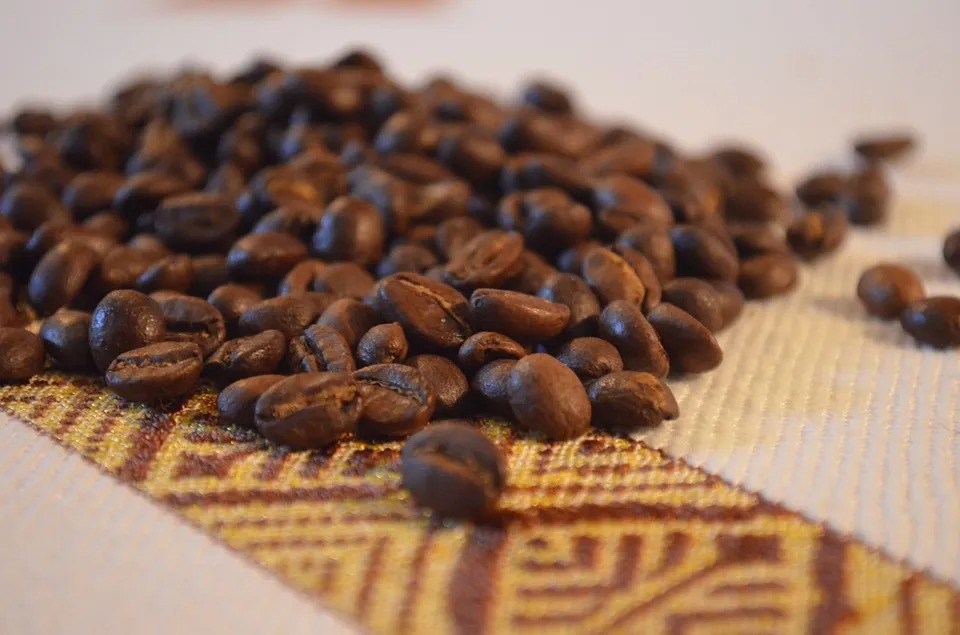 Vải từ bã cà phê (Coffee Ground Fabric).