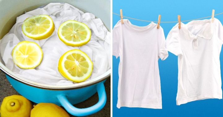 Chữa quần áo phai màu bằng chanh.